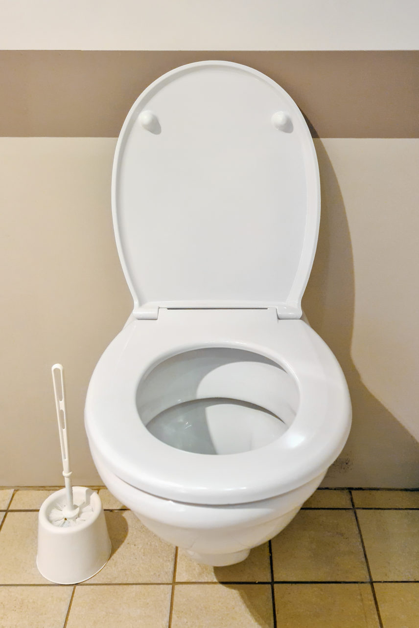 Essential Medical Supply Elevated Toilet Seat with Arms Elongated