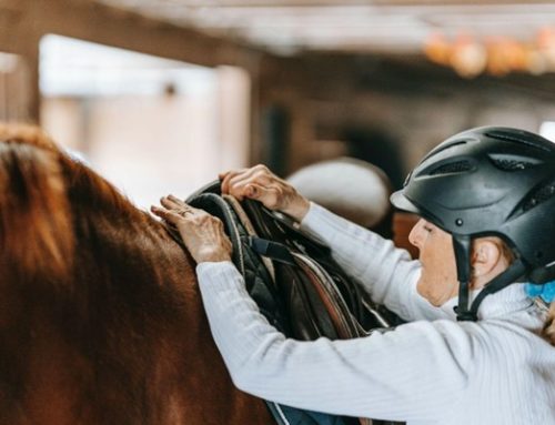 How to Get Horseback Riding Lessons for Seniors