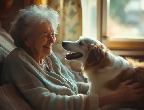More Than Just Cuddly Companions: Understanding Pet Therapy for Seniors